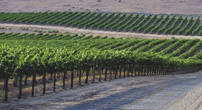 88d42dd5-92b4-4f1c-9d2d-2867fc2e0468 88d42dd5-92b4-4f1c-9d2d-2867fc2e0468