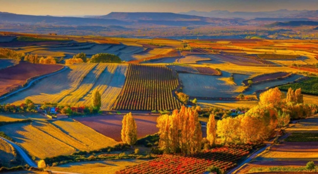 里奧哈產區(qū)風景_650 里奧哈產區(qū)風景_650