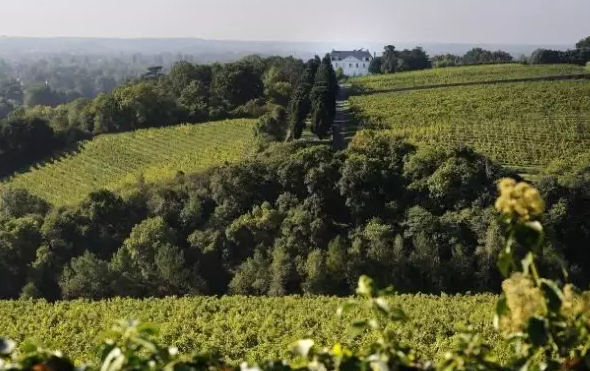 法國盧瓦爾河葡萄酒產區(qū)