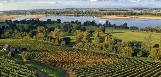 法國盧瓦爾河葡萄酒產區(qū)
