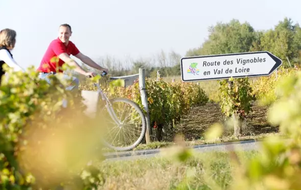 法國盧瓦爾河葡萄酒產區(qū)